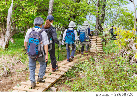 新緑の中の登山道 53669720