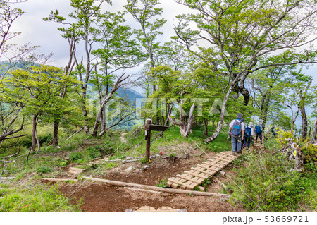 新緑の中の登山道 53669721
