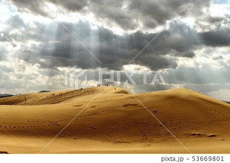 鳥取砂丘 53669801