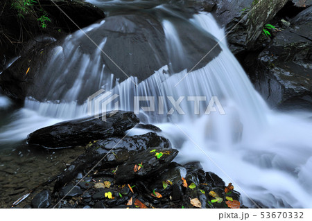 秋の季節 きれい 美しい 53670332