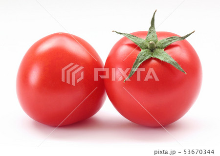 ミディトマト 53670344