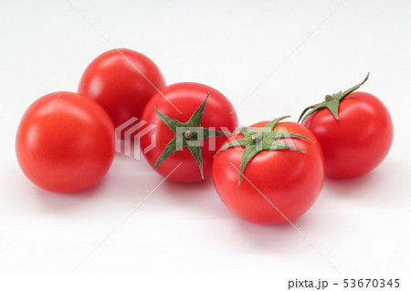 ミディトマト 53670345