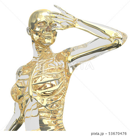 3d rendering of skeleton 53670476