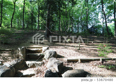 樹木葬 樹木葬 53670480