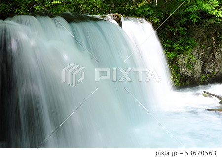 初夏の奥入瀬渓流 53670563