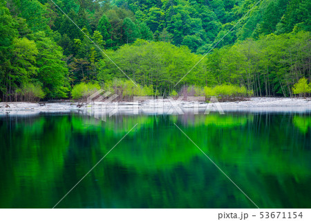 矢筈公園キャンプ場のダム湖に映る新緑 53671154