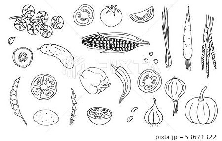 Vegetables hand drawn style white color on black 53671322