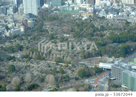 青山霊園(六本木ヒルズ展望台から望む) 青山霊園(六本木ヒルズ展望台から望む) 53672044