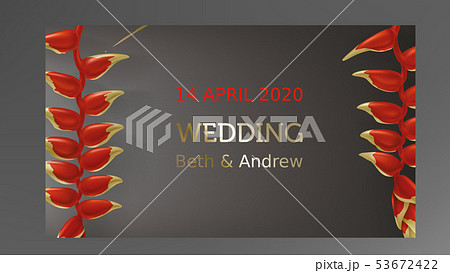 Tropical black and gold leaves on dark background Tropical black and gold leaves on dark background 53672422