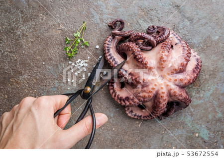 Boiled fresh octopus 53672554