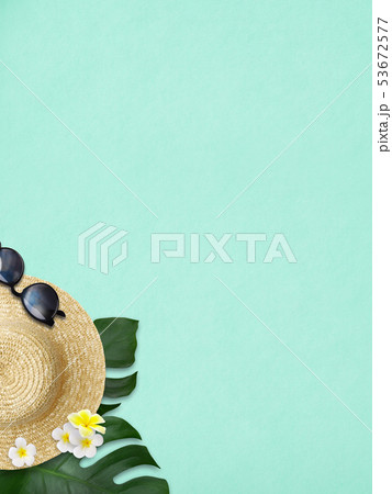 背景 海 夏 ビーチ モンステラ プルメリア サングラス 麦わら帽子 ブルーのイラスト素材