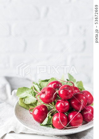 Summer harvested red radish. 53672669