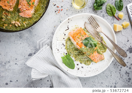 Grilled Salmon with cream sauce 53672724