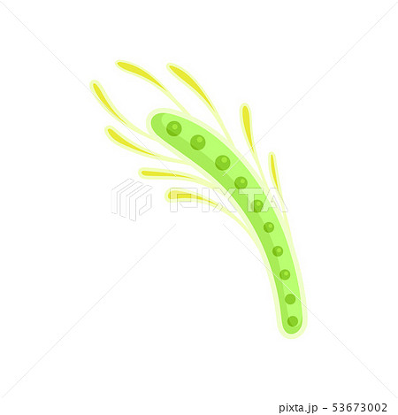 Thin Light Green Plankton With Yellow Stock Illustration