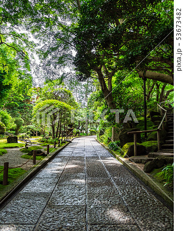 鎌倉　報国寺　参道 53673482