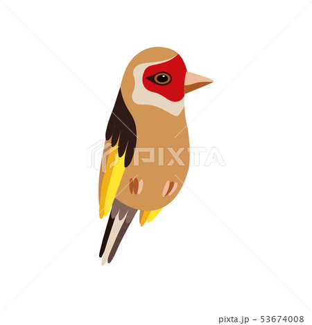 Little Goldfinch Bird, Cute Birdie Home Pet Vector Illustration 53674008