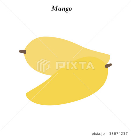 Mango fruit illustration 53674257