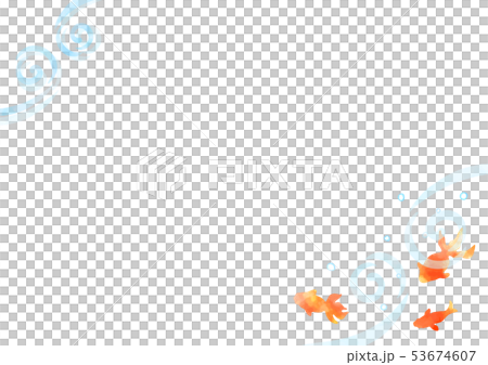 水と金魚 53674607