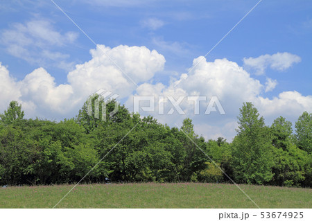 夏の空 53674925