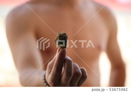dry medical cannabis marijuana hand 53675982