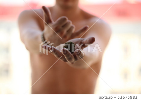 dry medical cannabis marijuana hand 53675983