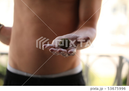 dry medical cannabis marijuana hand 53675996