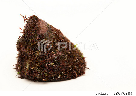 バテイラ 53676384