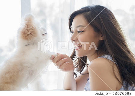 女性 ペット ライフスタイル 女性 ペット ライフスタイル 53676698
