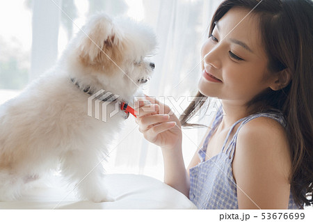 女性 ペット ライフスタイル 女性 ペット ライフスタイル 53676699