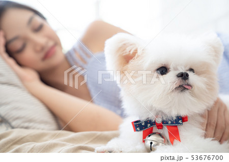 女性 ペット ライフスタイル 女性 ペット ライフスタイル 53676700