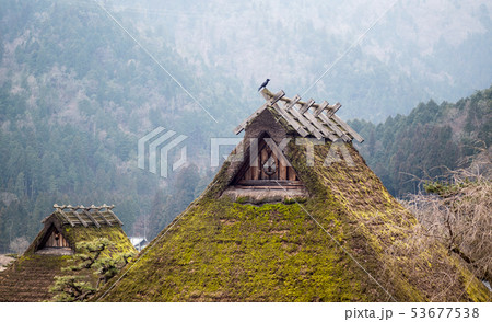 美山かやぶきの里 美山かやぶきの里 53677538