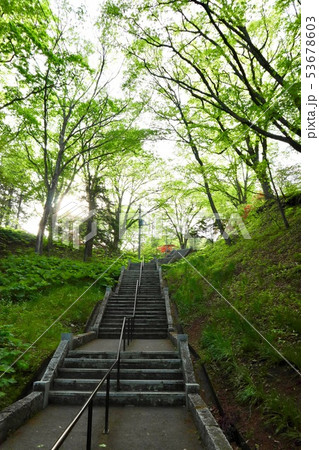 義経神社の参道 階段 義経神社の参道 階段 53678603