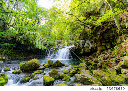 蓼科大滝　爽やか　納涼　【長野県】 53678650