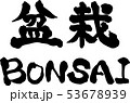 盆栽　BONSAI　文字素材　横書き 53678939