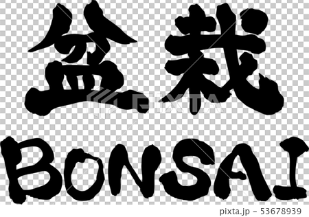 Bonsai BONSAI Letter material Horizontal writing Bonsai BONSAI Letter material Horizontal writing 53678939
