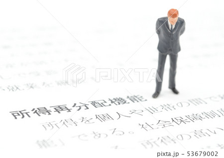 所得再分配機能 所得再分配機能 53679002