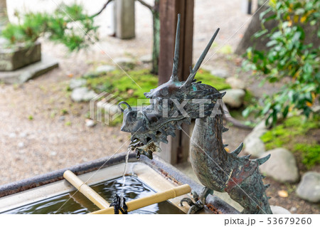 水盤舎の龍神 津城跡高山神社 水盤舎の龍神 津城跡高山神社 53679260