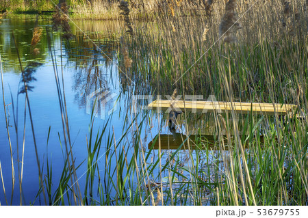 Old rustic wooden jetty on a tranquil lake 53679755