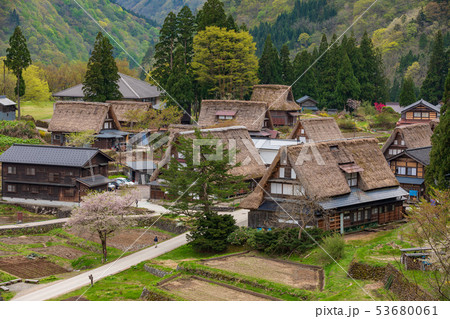 富山・桜咲く五箇山相倉合掌造り 富山・桜咲く五箇山相倉合掌造り 53680061