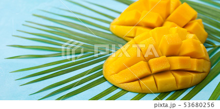 Fresh mango on a palm leaf. Blue background. Close up. Fresh mango on a palm leaf. Blue background. Close up. 53680256