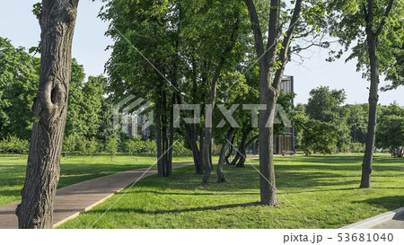 City park landscape, background for landing page City park landscape, background for landing page 53681040