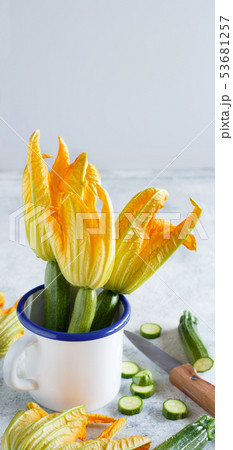 Young Zucchini With Flowers Young Zucchini With Flowers 53681257
