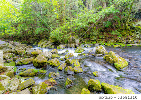 蓼科大滝　爽やか　納涼　【長野県】 53681310