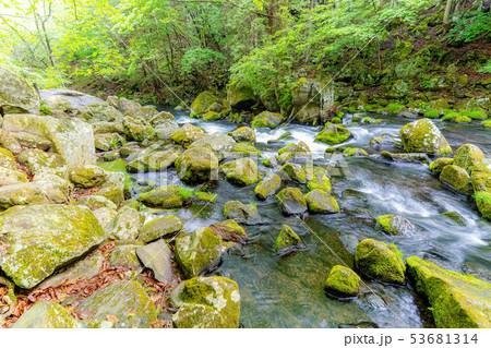 蓼科大滝　爽やか　納涼　【長野県】 53681314