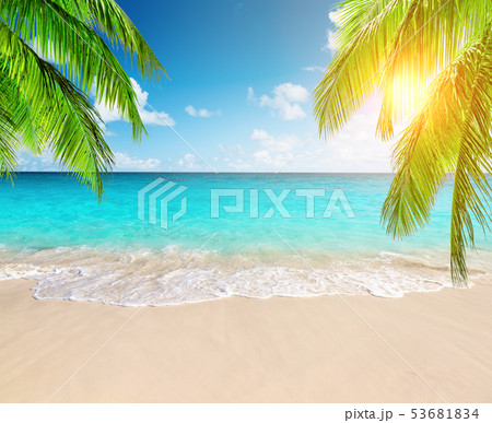 Coconut palm trees against blue sky and beautiful Coconut palm trees against blue sky and beautiful 53681834