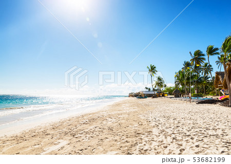 Coconut Palm trees on white sandy beach Coconut Palm trees on white sandy beach 53682199