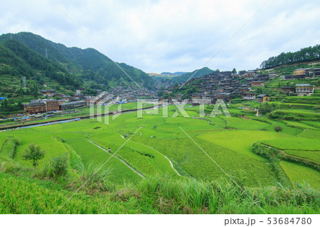 中国 チャイナ 磁器 53684780