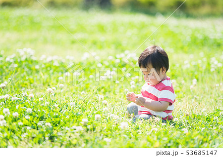 芝生で遊ぶ赤ちゃん お座り の写真素材