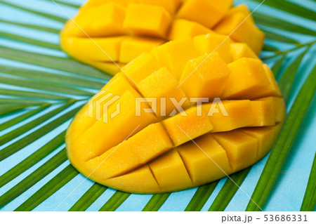 Fresh mango organic product on a palm leaf. Blue background. Close up. Fresh mango organic product on a palm leaf. Blue background. Close up. 53686331