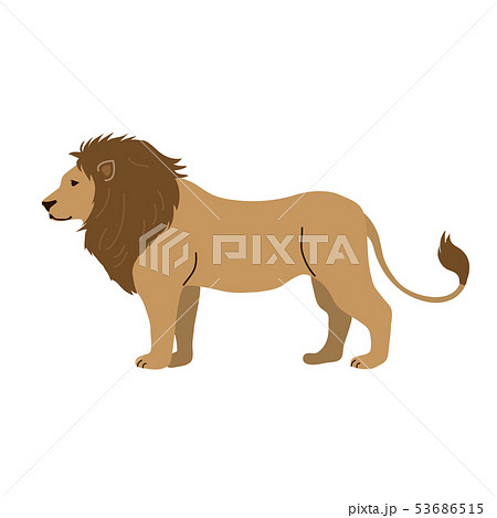 Lion Illustration Stock Illustration